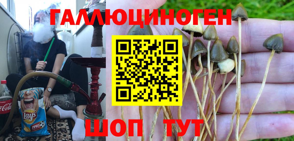 Новочеркасск  Галлюциногенные грибы ЛСД  Вход с VPN 